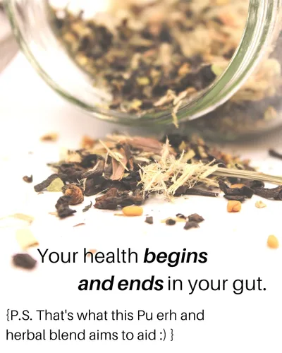 Vista 3 de SpeedyVite Colon LifeBoost Tea Detox and Cleanse - Té Pu'er orgánico con jengibre, citronela, para una mayor salud y función del colon