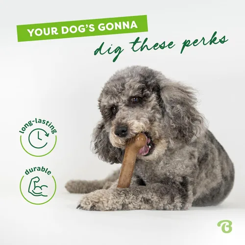 Vista 3 de Benebone Bone - Juguete masticable duradero para perros para masticadores agresivos, tocino real, fabricado en Estados Unidos, pequeño