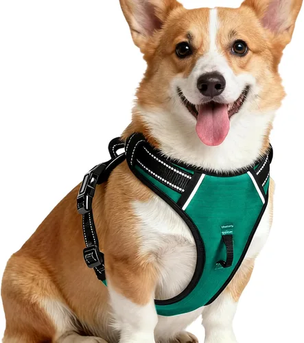 Vista 55 de Arnés para perro sin tirones, chaleco reflectante ajustable y acolchado para mascotas con asa de fácil control, fácil de llevar con nudo elegante