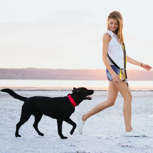 Vista 7 de Correa para perro sin tirones para perros grandes – correa elástica altamente reflectante de 6 pies, correa resistente para perros grandes, 4 asas