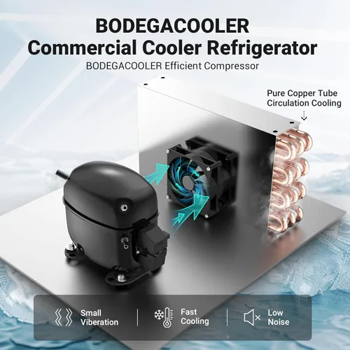 Vista 9 de BODEGA COOLER - Refrigerador comercial comercial, 15.5 pies cúbicos con puerta de vidrio vertical, refrigerador de bebidas con luz LED, 4 ruedas