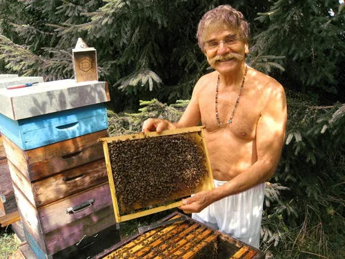 Vista 4 de Queen of the Sun