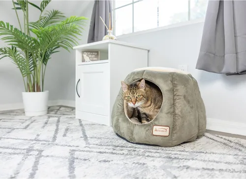 Vista 2 de Armarkat Cama para gatos, verde laurel y beige