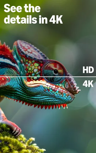 Vista 7 de Yaxa Fire TV 4-Series de 43" (modelo más reciente): televisión 4K Ultra HD inteligente con Control remoto Alexa, HDR10+, procesador rápido, Dolby