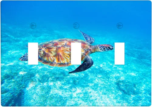 Vista 60 de Baby Turtle - Cubierta decorativa de pared para interruptor de luz de palanca de 1 banda, lindas tortugas subacuáticas, placa frontal eléctrica