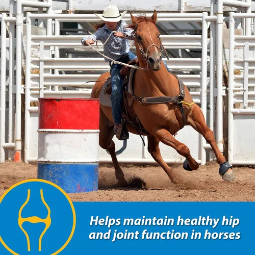 Vista 3 de Farnam Fluidflex Suplemento líquido para articulaciones para caballos, ayuda a mantener la función saludable de la cadera y las articulaciones, 1