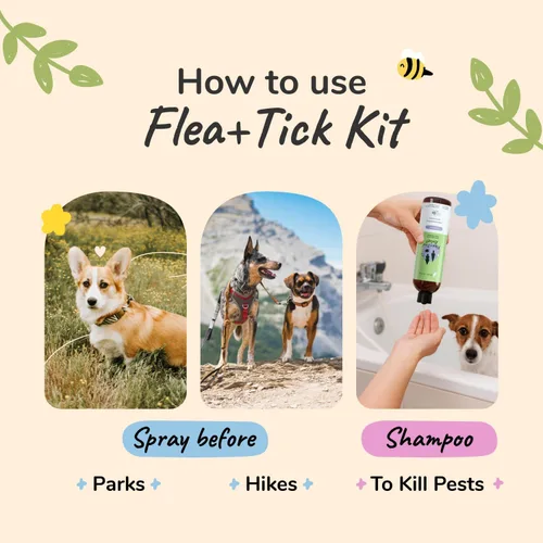 Vista 6 de kin+kind Kit de spray y champú para pulgas y garrapatas, set de champú y aerosol, champú para perros, spray para perros, para control de garrapatas