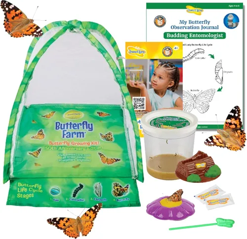 Vista 10 de Kit de jardín de mariposas Insect Lore con orugas vivas – Cría 10 mariposas Painted Lady - Actividad de aprendizaje STEM, hábitat con diario