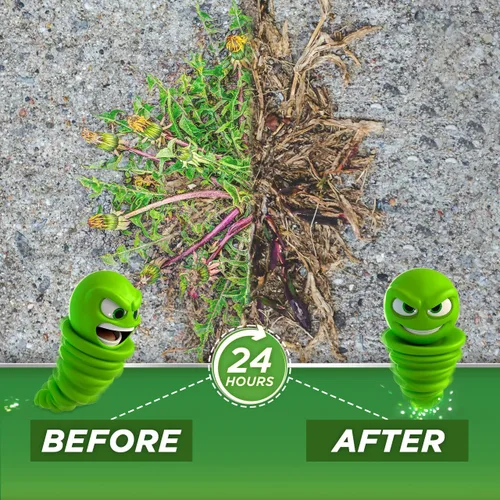 Vista 3 de Green Gobbler 20% vinagre herbicida y herbicida Natural y orgánico Concentrado Spray de 1 galón Herbicida libre de glifosato