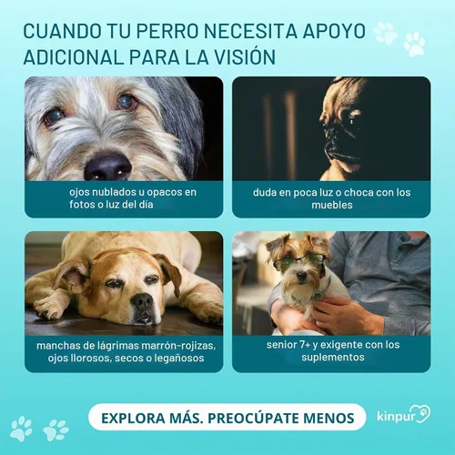Vista 2 de Vitaminas oculares para perros – Soporte de visión, manchas de lágrimas, ojos brillantes, 120 masticables