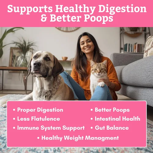 Vista 4 de Wholistic Pet Organics Probióticos diarios para gatos y perros para la salud digestiva, antidiarrea y apoyo intestinal, probióticos para perros