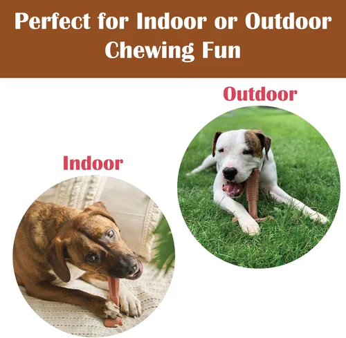Vista 8 de SPOT Bam-Bones Plus T Bone - Juguete masticable de fibra de bambú y nailon para perros masticadores moderados a agresivos, duradero, de larga
