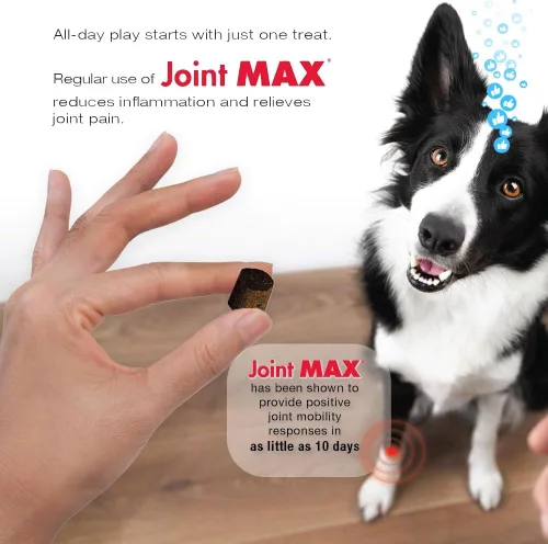Vista 11 de PHS Joint Max Triple Strength (TS) Masticables suaves para perros, glucosamina, condroitina, MSM, cúrcuma, Omega 3, alivio del dolor de cadera