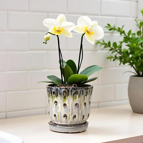 Vista 9 de Macetas para Orquídeas de 4.9 pulgadas Macetas Redondas de Cerámica para Orquídeas con Agujeros Juego de 2 (Azul Cielo+Blanco con Verde Limón)