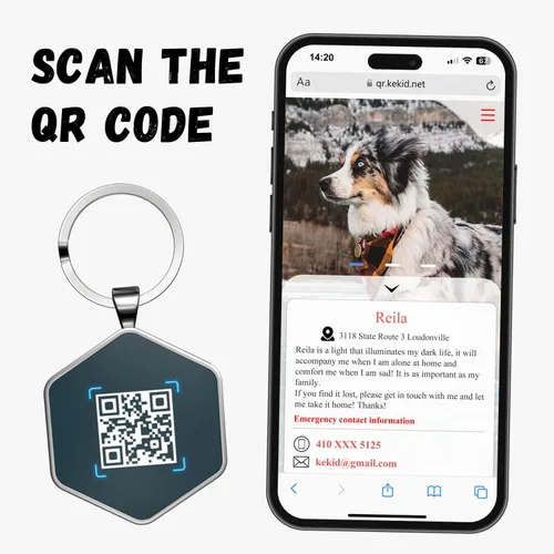 Vista 4 de Etiqueta de perro con código QR, etiquetas de identificación para mascotas, etiquetas de perro personalizadas para mascotas, etiquetas de B3