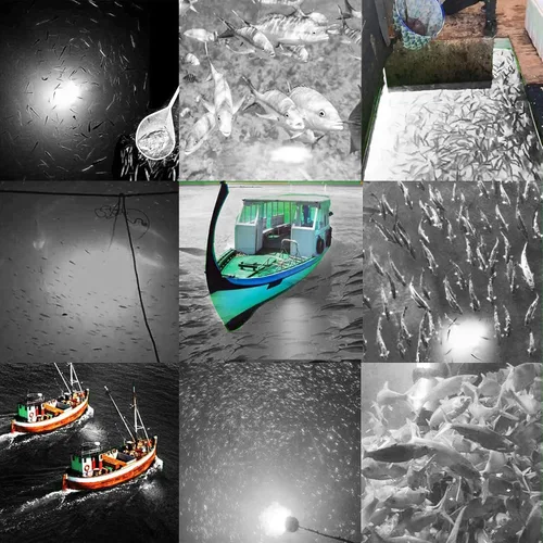 Vista 5 de SAMDO IP68 Lámpara LED submarina de 12V para pesca, luz de 1080 lúmenes que atrae peces, luz para pesca nocturna de 10.8W