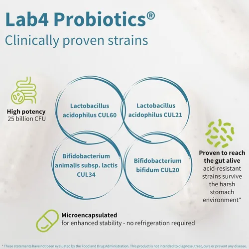 Vista 3 de Igennus Probiotics & Prebiotic 2 en 1, Lactobacillus Acidophilus & Bifidobacterium, apoyo a la salud intestinal, cultivos vivos+ Lab4, 25 mil