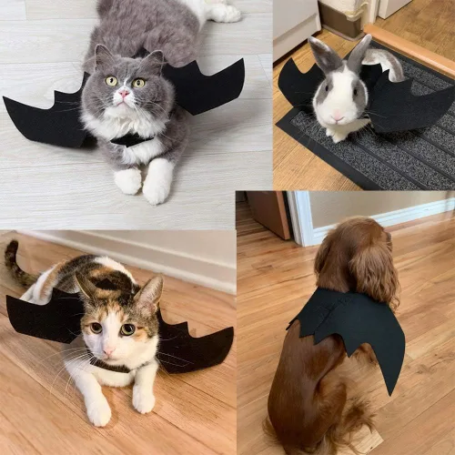 Vista 3 de Disfraz de Halloween para gato, alas de murciélago, ropa para mascotas, accesorios de disfraz para fiesta de Halloween, accesorios para gatos