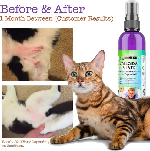 Vista 3 de Vet Recommended - Plata coloidal para perros y gatos - (4 oz/4.1 fl oz) - Spray de plata coloidal que funciona como solución natural para puntos