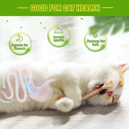 Vista 3 de GBSYU Silvervine - Paquete de 1 juguete para gatos de interior, juguetes masticables para gatos de interior, juguetes masticables para masticadores