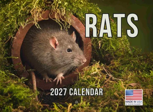 Vista 136 de Calendario de Cocodrilo 2026 Calendario de Pared Mensual 12 Meses Fabricado en Estados Unidos