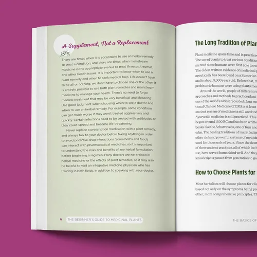 Vista 5 de The Beginner's Guide to Medicinal Plants 50 Essential Wild Herbs to Identify, Harvest, and Use