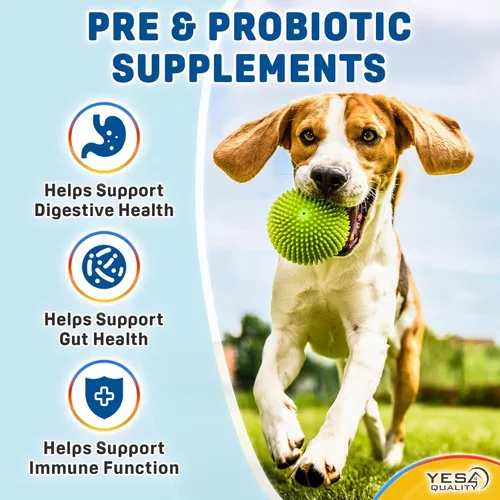 Vista 3 de Probióticos para perros, masticables prebióticos y probióticos para perros, pueden apoyar la inmunidad, la salud digestiva e intestinal, la diarrea