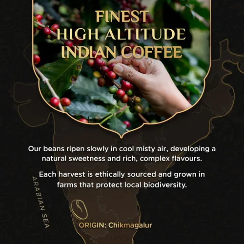 Vista 2 de Coffeeza Paquete variado de cápsulas de café 100% arábica con sabor a Nespresso, compatibles con máquinas Nespresso Original Line