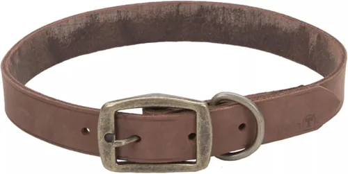 Vista 13 de Coastal Pet - Circle T - Collar de piel rústica para perro, rojo ladrillo, 1 x 20 pulgadas