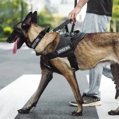 Vista 6 de EXCELLENT ELITE SPANKER Chaleco táctico para perro, arnés de entrenamiento para perros de servicio de patrulla militar, arnés ajustable de nailon