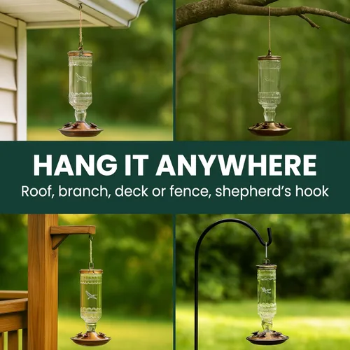 Vista 6 de Perky-Pet Comedero antiguo para colibríes con botella de vidrio – Comedero para colibríes para decoración de jardín al aire libre – 8107-1SR