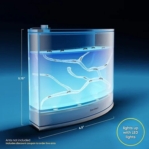 Vista 6 de Juego de terrario de hormigas con luz Dan&Darci para niños – Hábitat LED para hormigas vivas con gel rico en nutrientes - Observa cómo cavan sus