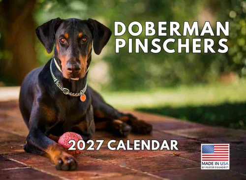 Vista 79 de Calendario de pared mensual 2025 Great Dane de 12 meses, fabricado en Estados Unidos