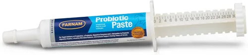 Farnam Pasta probiótica para caballos, suplemento de salud digestiva e inmunológica de entrega rápida que apoya un equilibrio microbiano saludable