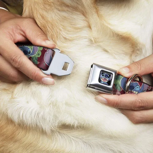 Vista 8 de Collar de perro con hebilla para cinturón de seguridad, 6 expresiones, flora tropical, burdeos, rojos, verdes, 11 a 17 pulgadas, 1.0 pulgadas