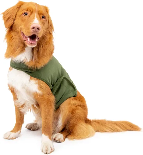 Vista 12 de Camisa Mellow Shirt para calmar la ansiedad de perros, Cypress