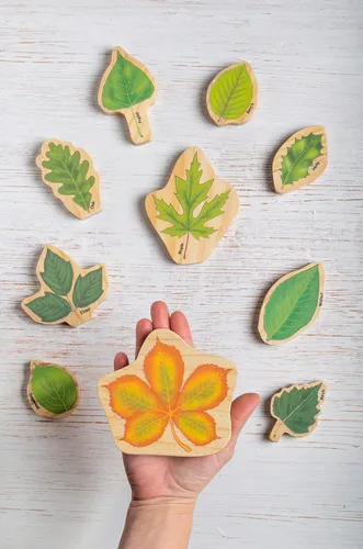 Vista 6 de Apilamiento de hojas