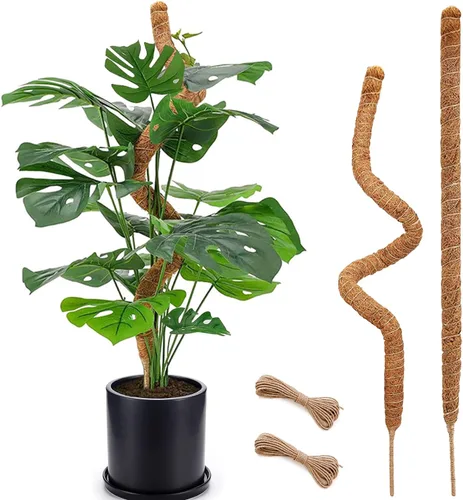 Vista 11 de Soupiar 2 Pack 22 Inch Stackable Moss Pole - Thick & Sturdy Natural Coir Totem Plant Support & Garden Stakes for Monstera & Pothos, Indoor Climbing