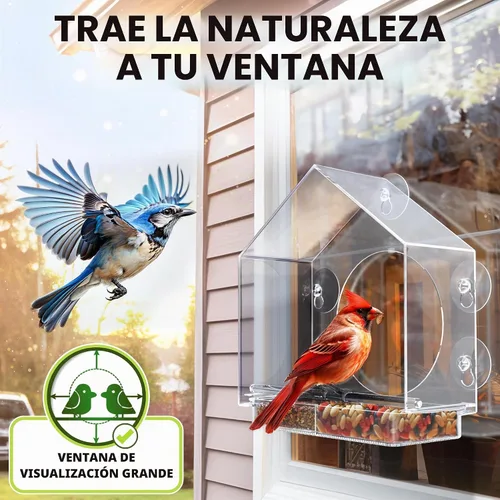 Vista 6 de Premium Window Bird Feeder for Outside - Clear Bird House w/Largest Window for Viewing Birds - Easy to Install & Sturdy Feeder w/Extra Strong