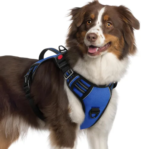 Vista 28 de rabbitgoo Arnés para perro de tamaño pequeño, arnés para mascotas sin tirones con mango acolchado suave, chaleco reflectante ajustable con 3