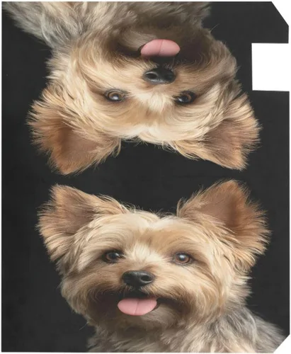 Vista 14 de ALAZA - Funda para buzón de invierno con copos de nieve de Navidad, tamaño estándar, 18 x 20.8 pulgadas