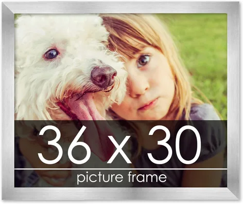 Vista 215 de Marco de madera de peltre plateado de 3 x 4 pulgadas, acrílico UV, respaldo de tablero de espuma y accesorios para colgar, marco de 3 x 4 pulgadas