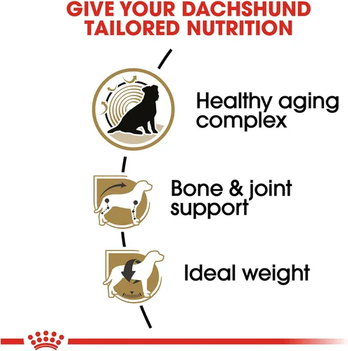 Vista 4 de Royal Canin Breed Health Nutrition Dachshund 8+ Alimento seco para perros mayores, bolsa de 3 libras