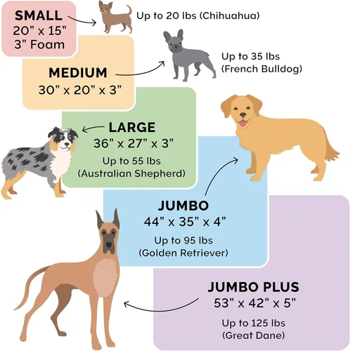 Vista 5 de Furhaven Cama para perro. Sofá estilo tradicional terapéutico. Sofá cama de lujo de sala para mascotas con funda extraíble, para perros y gatos