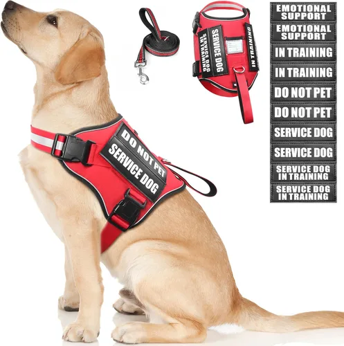 Vista 13 de Juego de arnés y correa para perro de servicio, chaleco de entrenamiento para perros con 10 parches para perros, chaleco de arnés para perros