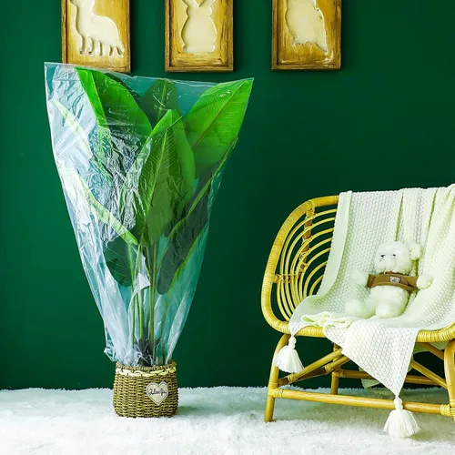 Vista 6 de 6 fundas de invierno para plantas de invierno, protección contra congelación, pequeñas bolsas de plástico transparente, bolsas de refugio, tela