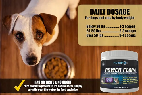 Vista 5 de Power Flora - Probióticos para perros y gatos con 9 cepas vivas, probióticos para perros que mejoran el aliento del perro, infecciones urinarias