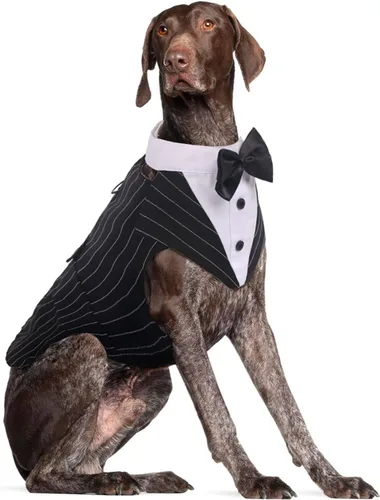 Vista 16 de DORA BRIDAL Esmoquin para perros pequeños, traje de perro y corbatín, traje formal de boda para perros, conjunto de esmoquin y bandana