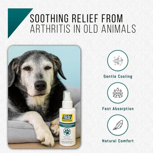Vista 8 de Real Time Pain Relief Fórmula para mascotas – Botella de spray de 4 onzas Alivio recomendado por veterinarios para mascotas 16 ingredientes