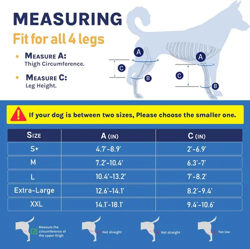 Vista 2 de Rodillera para perro para desgarro de ACL y soporte de pierna trasera - Soporte ajustable para cadera y pierna de perro para ligamento cruzado